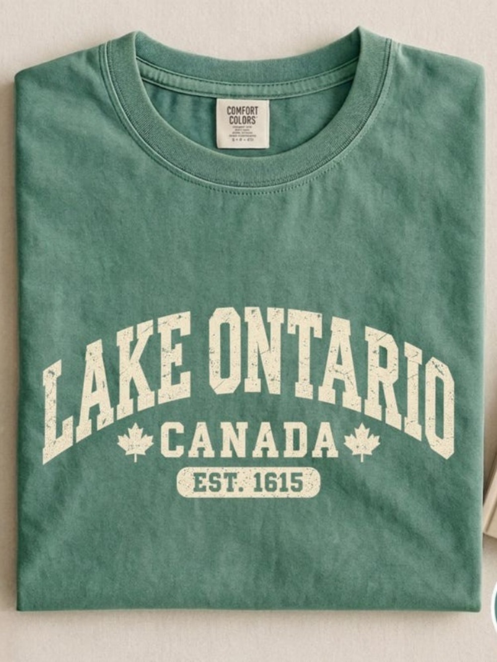 Comfort Colors Lake Ontario Canada Vintage Aesthetic Graphic Tee